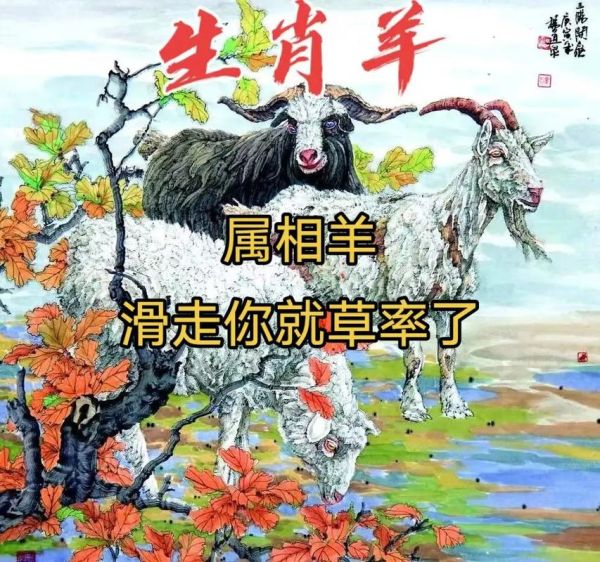 1979年什么生肖属相（1979年属什么生肖？一文带你秒懂属羊）