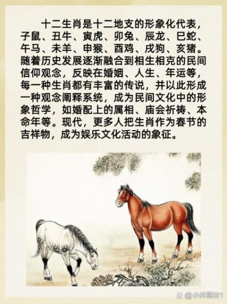 属相是错的生肖（属相是错的生肖怎么办？😵‍💫）