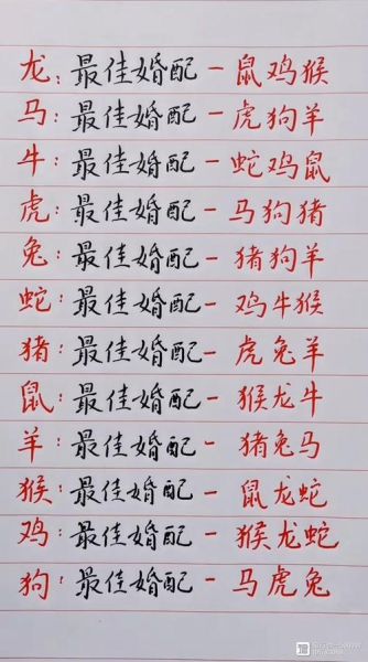 十二生肖详细属相（十二生肖对照表及年份🐭🐮🐯）