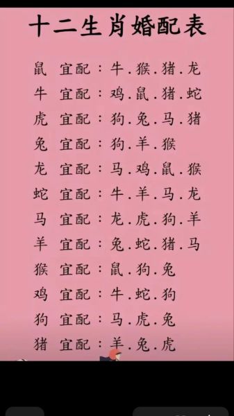 马狗属相几合生肖（马狗属相配对吗？小白也能看懂）