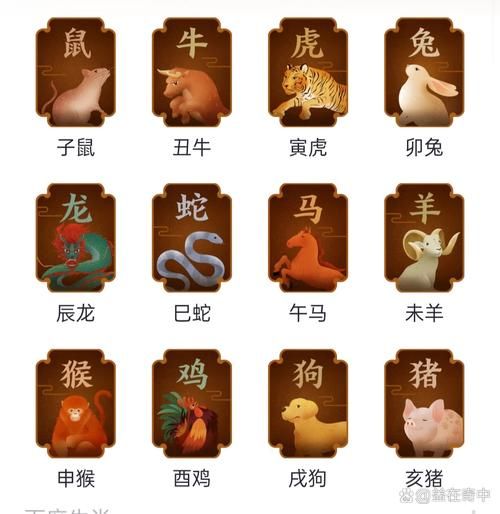 生肖属相排序图片（生肖属相排序完整图及记忆口诀）