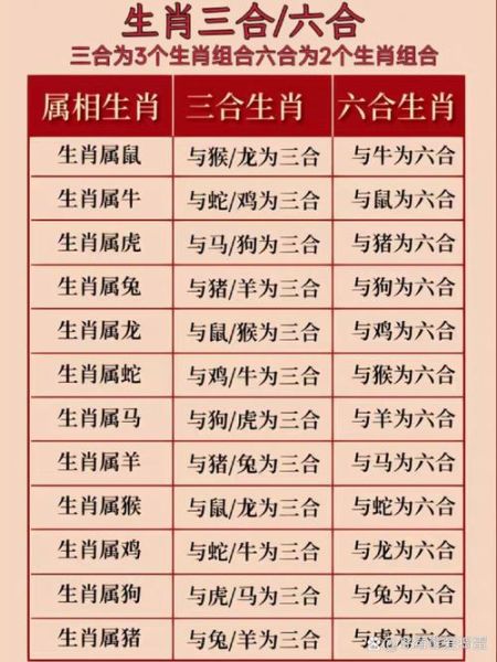 字说生肖属相（2024生肖属相一览表查询）