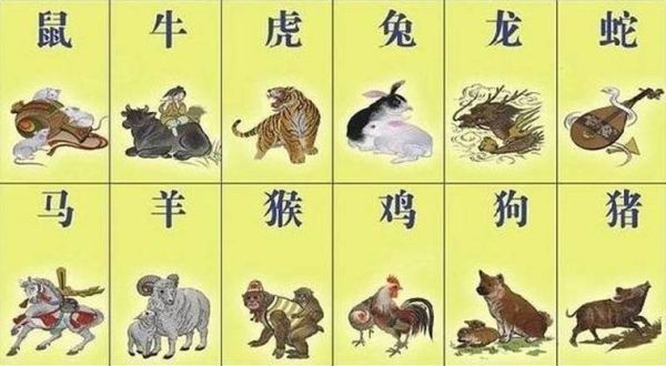 戈属什么生肖属相（戈属相是什么生肖）