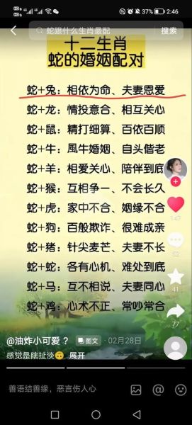 蛇年属相相合的生肖（蛇年属相最适合配哪些生肖）