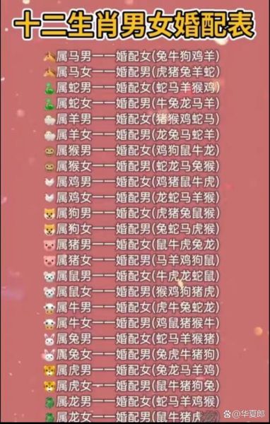 十二生肖嫁给哪个属相好(十二生肖嫁给属什么的男人最幸福)