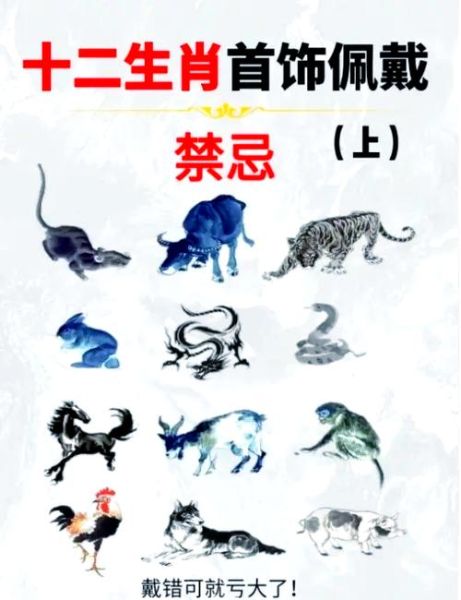 神秘的生肖属相（神秘的生肖属相到底意味着什么）