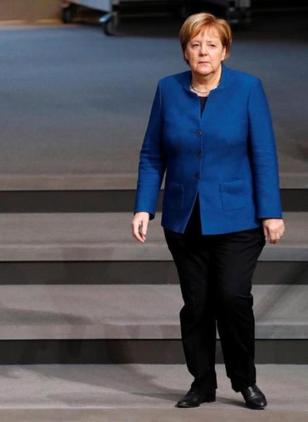 默克尔生肖属相（默克尔生肖属相是什么？小白1分钟看懂）