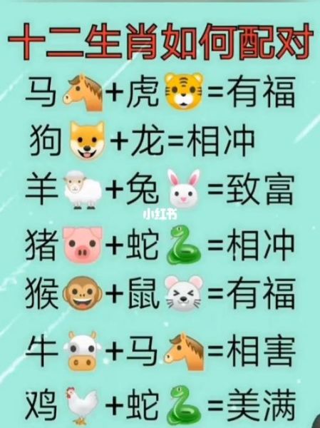 马生肖的配偶属相（马生肖的配偶属相最佳配对）