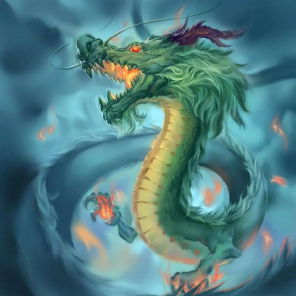 进化属什么生肖属相最好（属龙的进化潜力最好吗🐉）