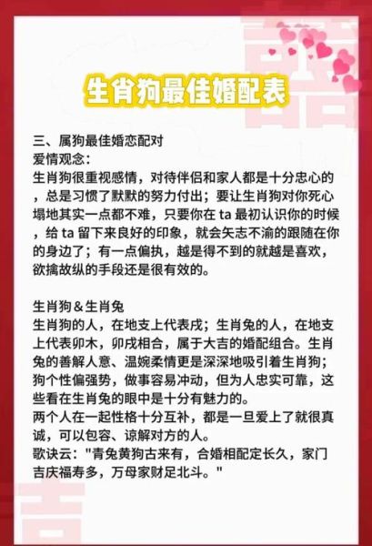 生肖狗属相婚配（属狗的和什么属相最配）