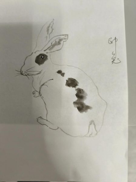 西风最佳生肖属相（西风最佳生肖属相是什么）