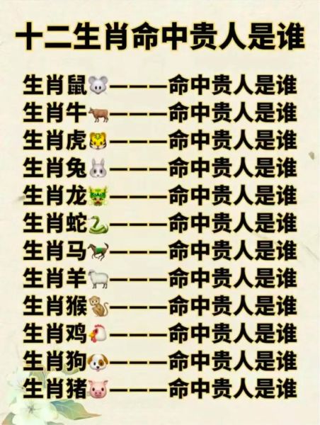 生肖大属相指哪些（生肖大属相指哪些生肖？新手一看全懂！）