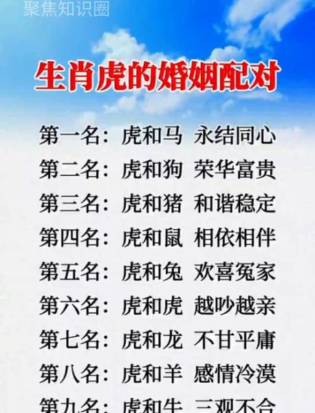 虎与生肖最配的属相（虎和什么属相最配）