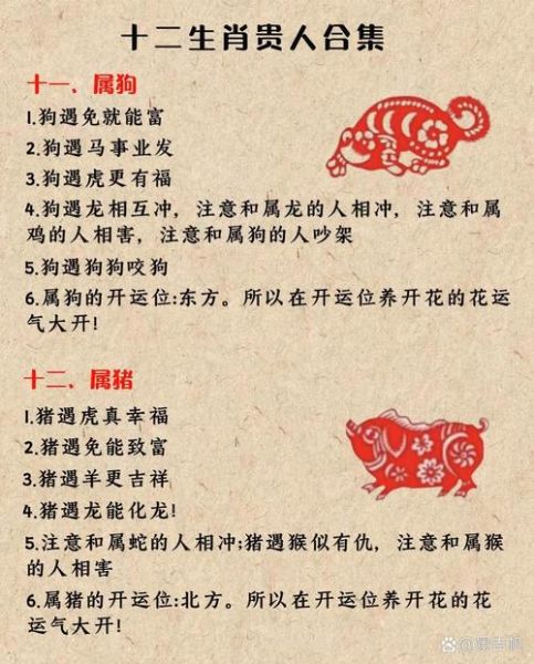 生肖狗相旺的属相（属狗的贵人属相排行）