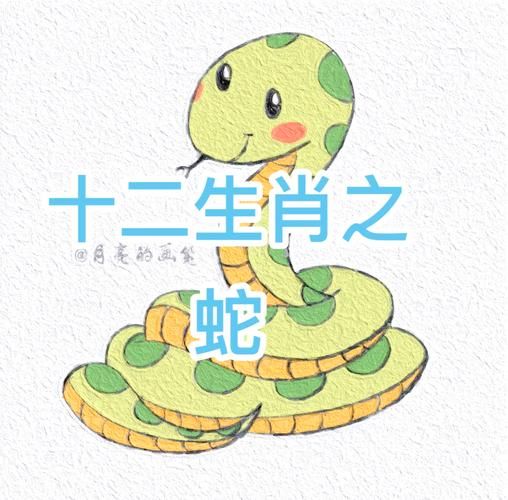生肖蛇属相怎么读