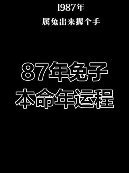 三七兔什么生肖属相（三七兔什么生肖属相一查便知）