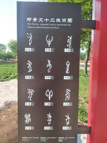 纣王属相是什么生肖（纣王属相是什么生肖？小白一图看懂）