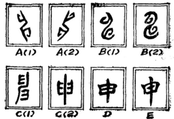 申字生肖属相(申字生肖属相是什么)