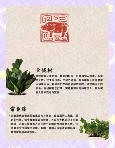 生肖属相对应的植物（生肖属相对应招财植物一览表）