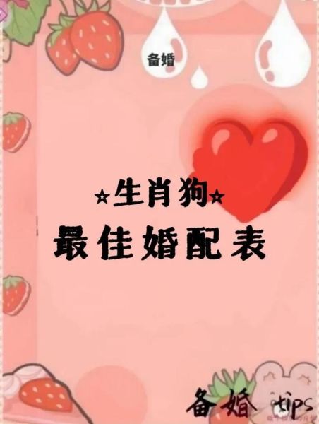 狗的生肖配对最佳属相（属狗的跟哪个生肖最配最好）