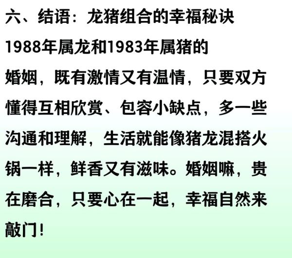 龙猪生肖相合属相