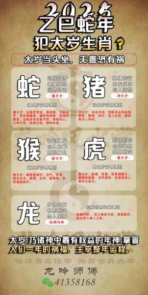 蛇年破岁生肖属相（蛇年犯太岁怎么简单化解）