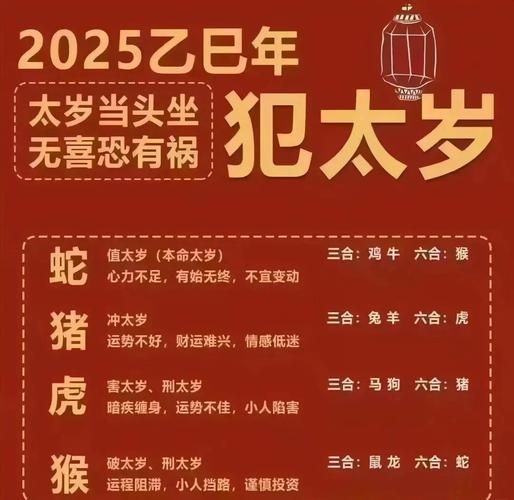 蛇年破岁生肖属相（蛇年犯太岁怎么简单化解）