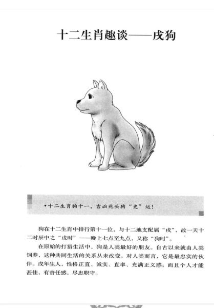 属相狗前面是什么生肖（属相狗前面是什么生肖？）