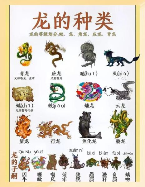 龙年不同生肖属相（龙年不同生肖的运势分析）