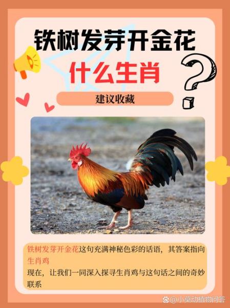 19属相是什么生肖（19属相是什么生肖？新手秒懂指南）