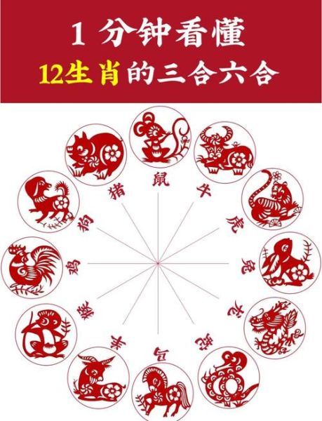 今年湖南属相是什么生肖（今年湖南属什么生肖？小白一看就懂）