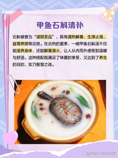 甲鱼属相最配什么生肖（甲鱼属相最配什么生肖？）