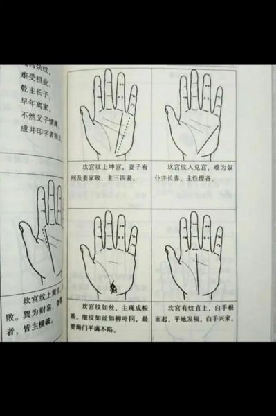 手相怎么看生肖属相（手相看生肖属相是真的吗）